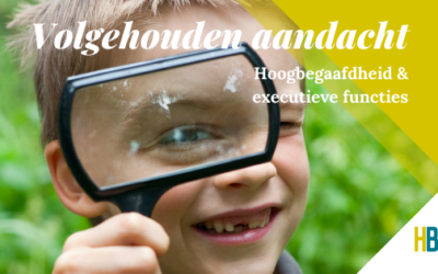 Volgehouden Aandacht & Hoogbegaafdheid